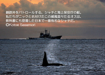 3　FMくしろ21年11月用　笹森　orca & 海保船.jpg