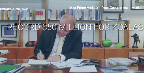 4コアラ保護に５千万オーストラリアドルを拠出すると発表したモリソン首相.png